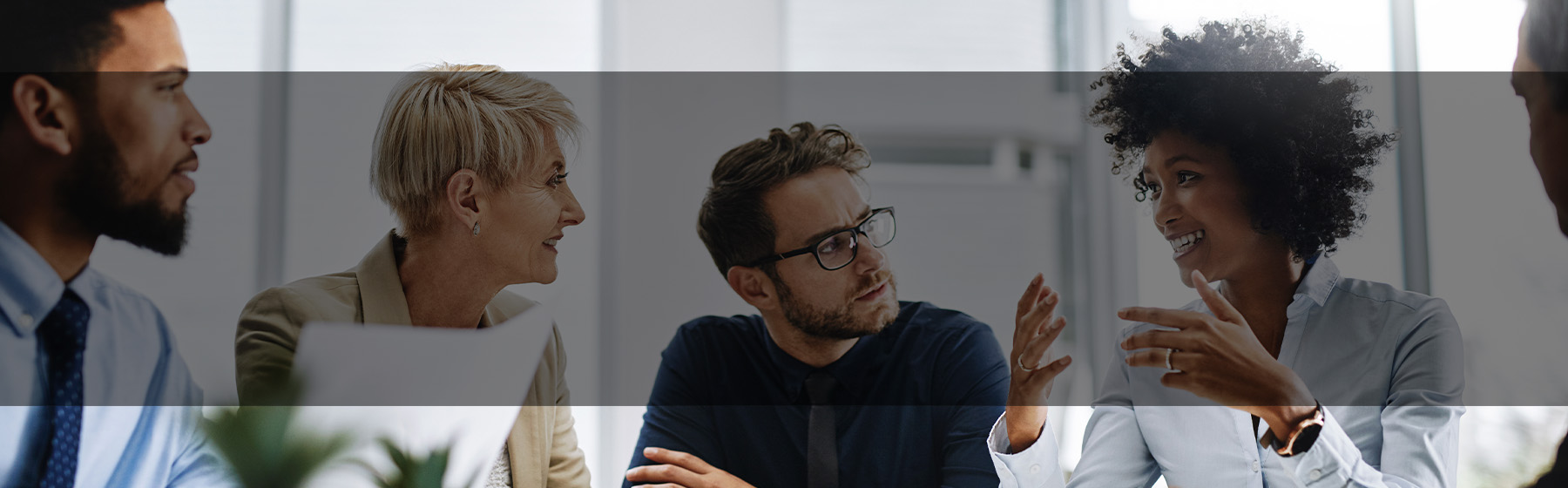 DVS team members background